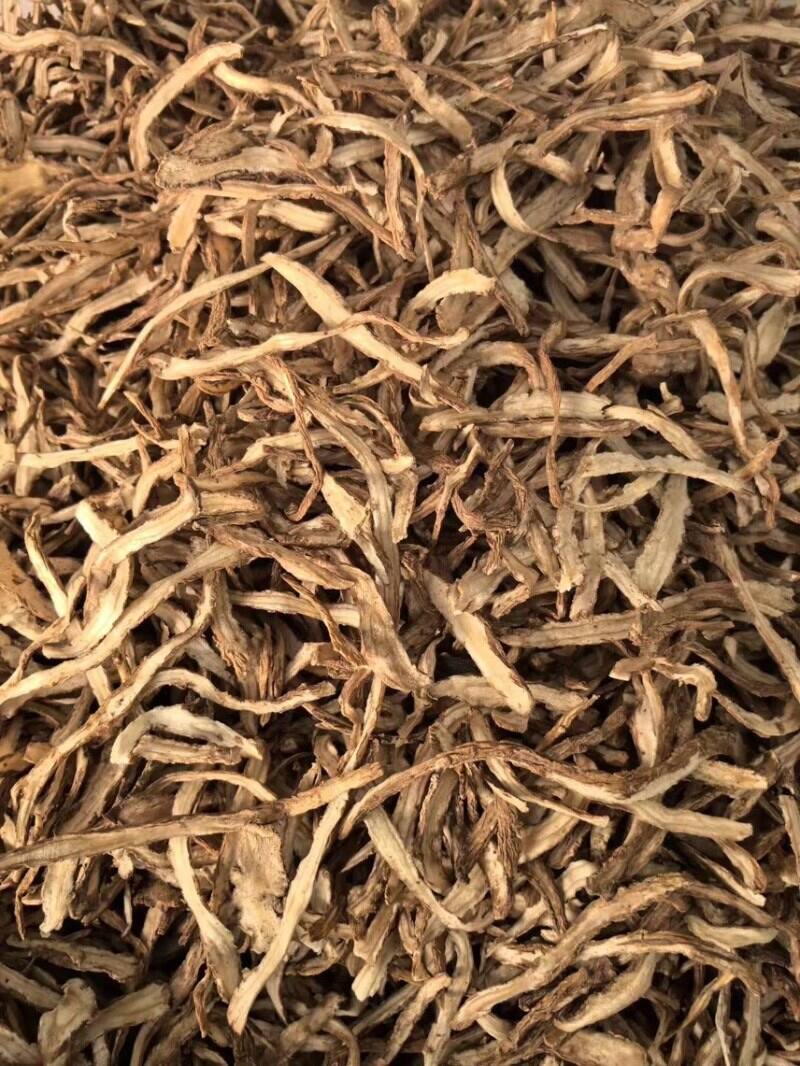 Angelica