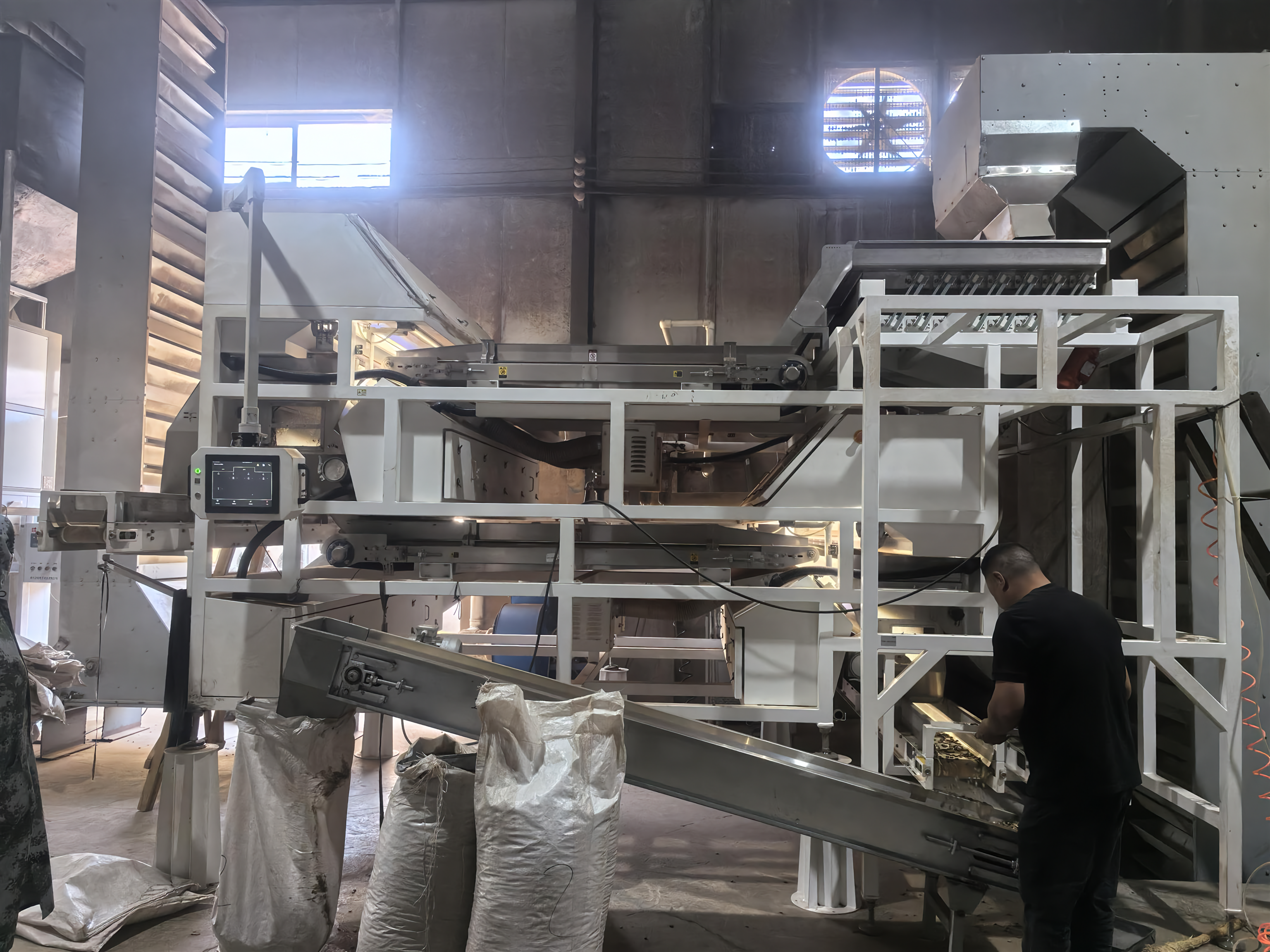 Licorice sorting process