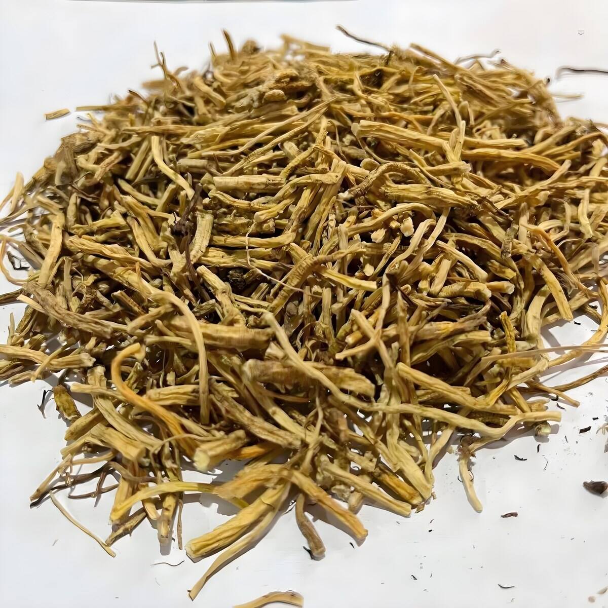Gentian Root