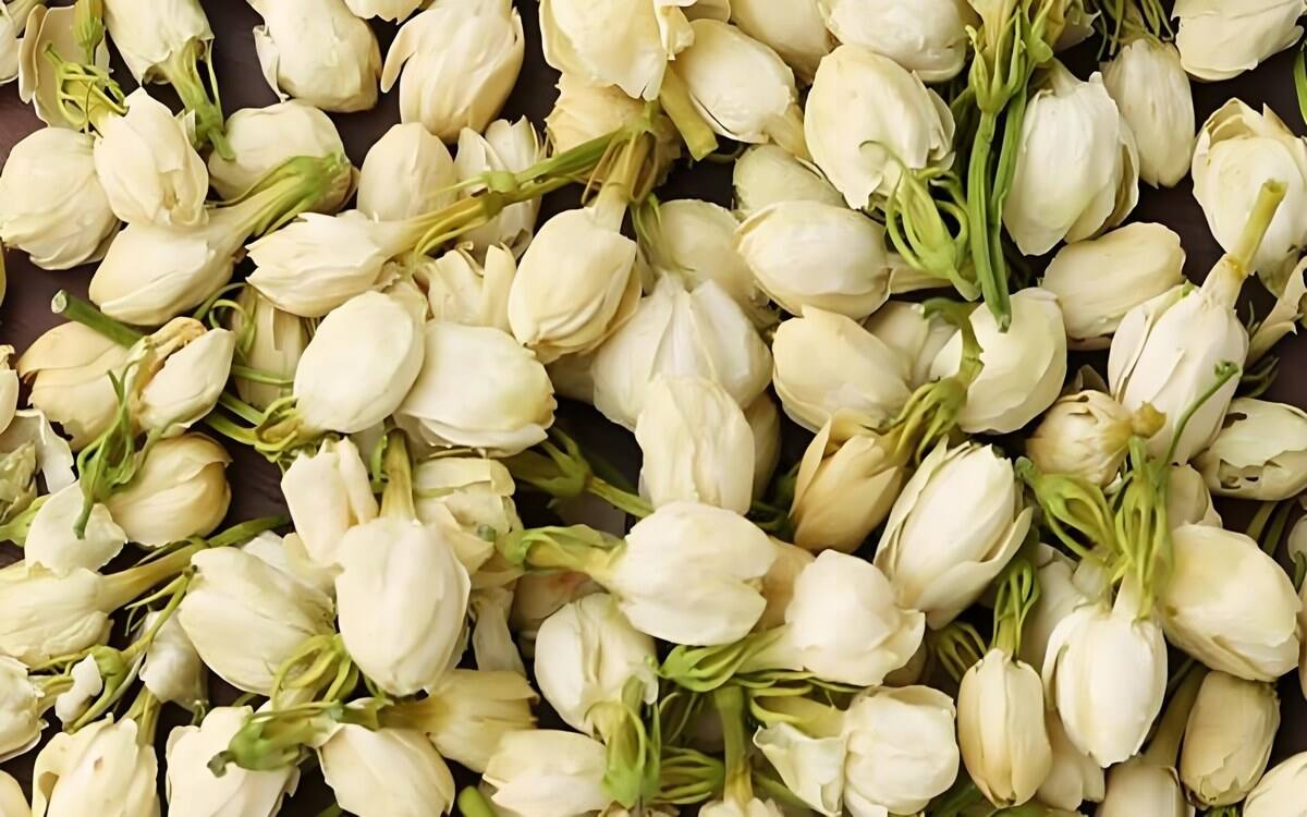 Double Petal