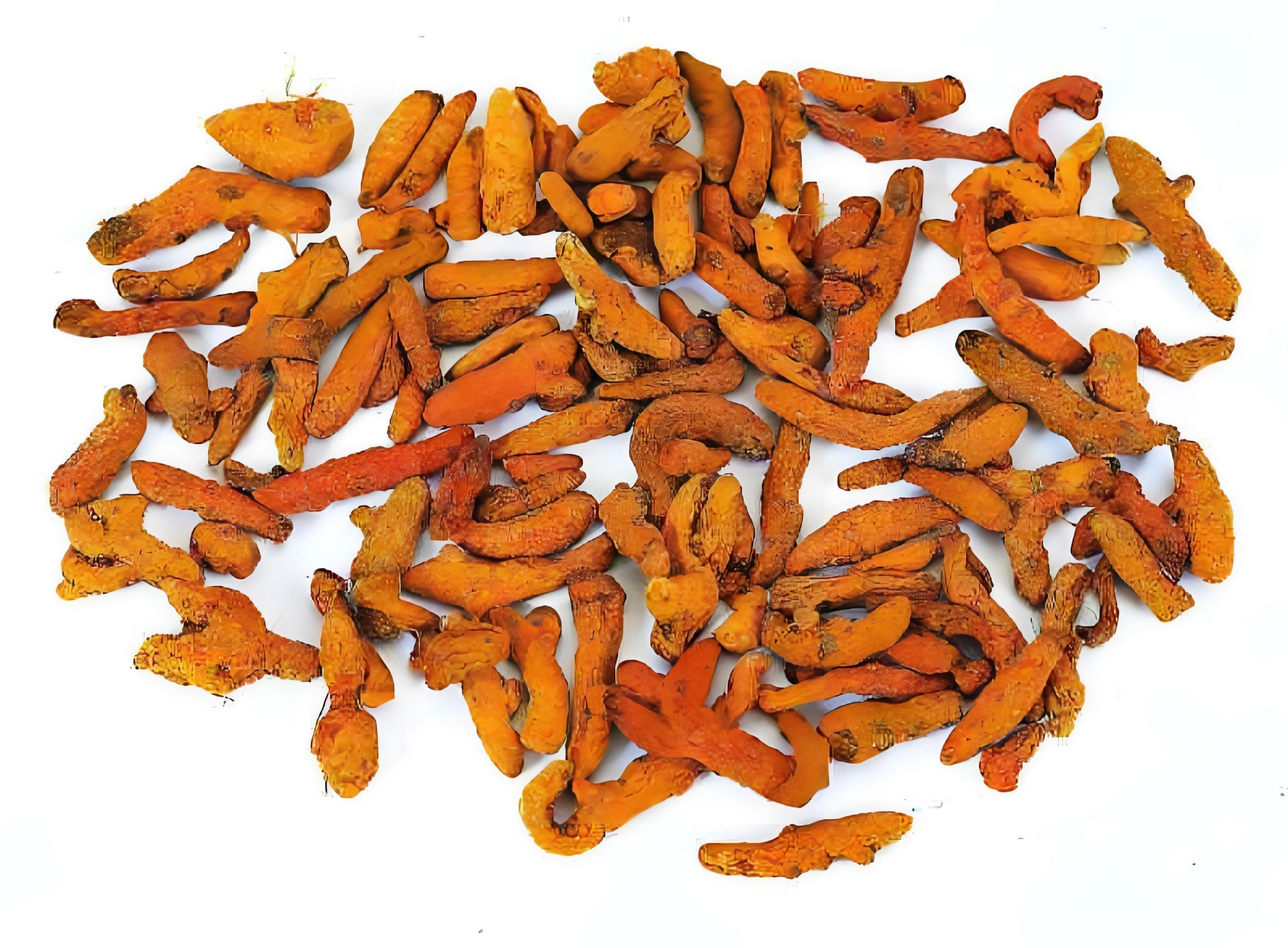 Turmeric