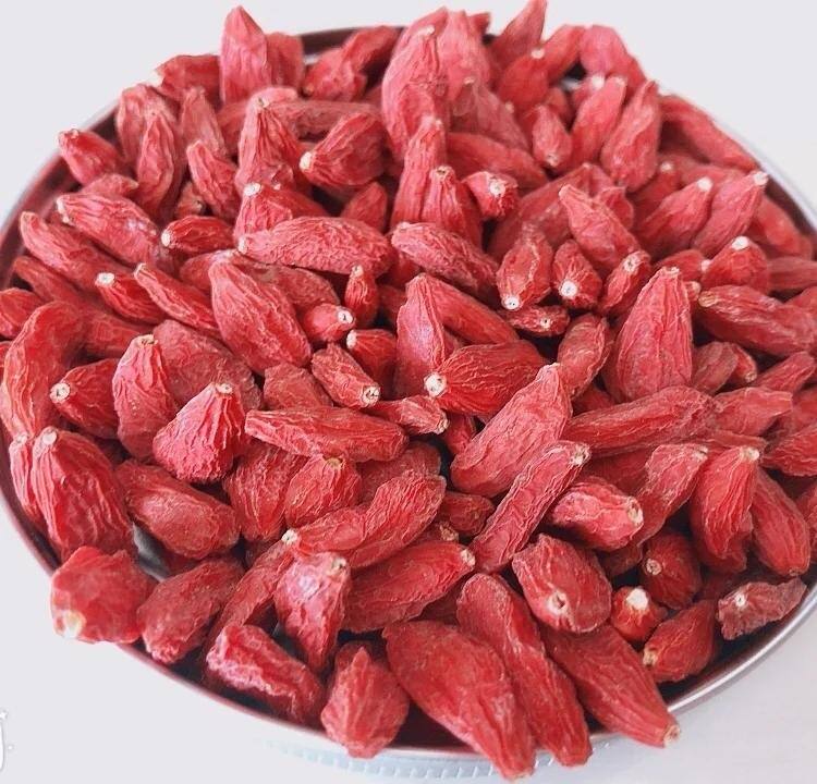 Wolfberry